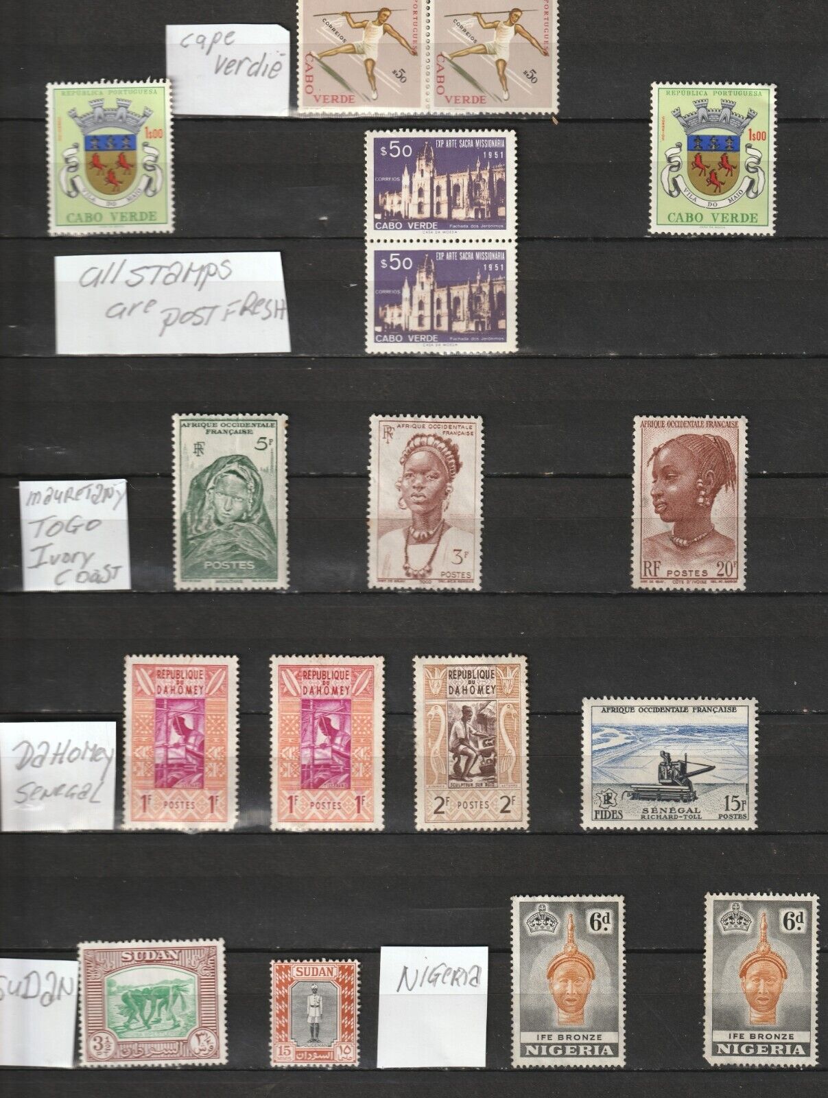 My Dad's Whole Collection Of Old Post Fresh Stamps From Africa() [afr01]